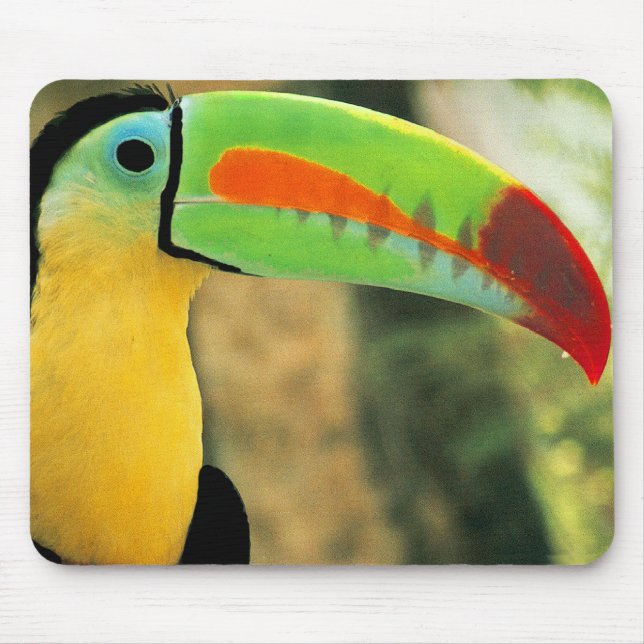 Toucan Mousepad (Frente)