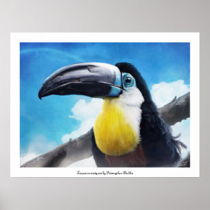 Toucan no poster enevoado do ar