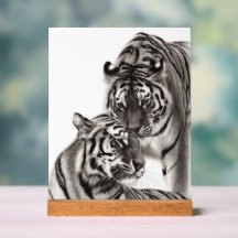 Touch - Trabalho de arte de Tigre Original Pintado
