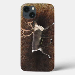 Touro das Caraíbas (Reindeer)