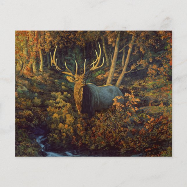 Touro Elk na Floresta do outono (Frente)
