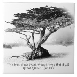 TRABALHO 14:7 Azulejo cerâmico