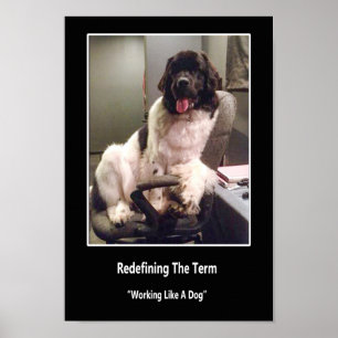 Trabalho como um poster do cão