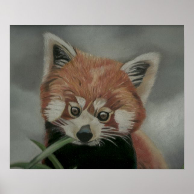 Trabalho de arte Poster de pintura Red Panda Paste (Frente)
