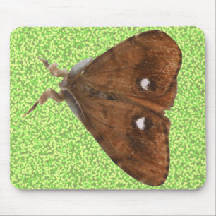 Traça Mousepad de Vapourer