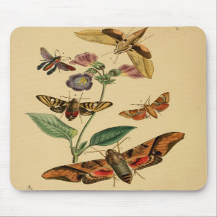 Traça Mousepad do vintage