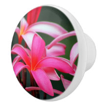 Tração da gaveta do Plumeria