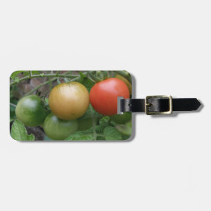Tráfego Tomates - Etiqueta de Bagagem Personalizad