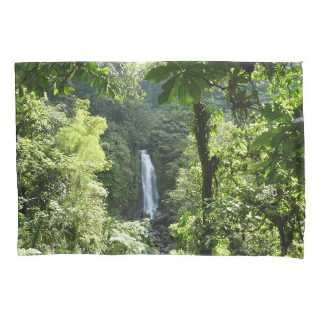 Traffic Falls Tropical RainForest Fotografia (Frente)