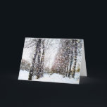 Trajeto e árvores no cartão da paisagem da neve<br><div class="desc">Trajeto e árvores em um cartão da paisagem da neve. Uma paisagem rural coberto de neve com trajeto,  árvores e neve lasca-se caindo.</div>