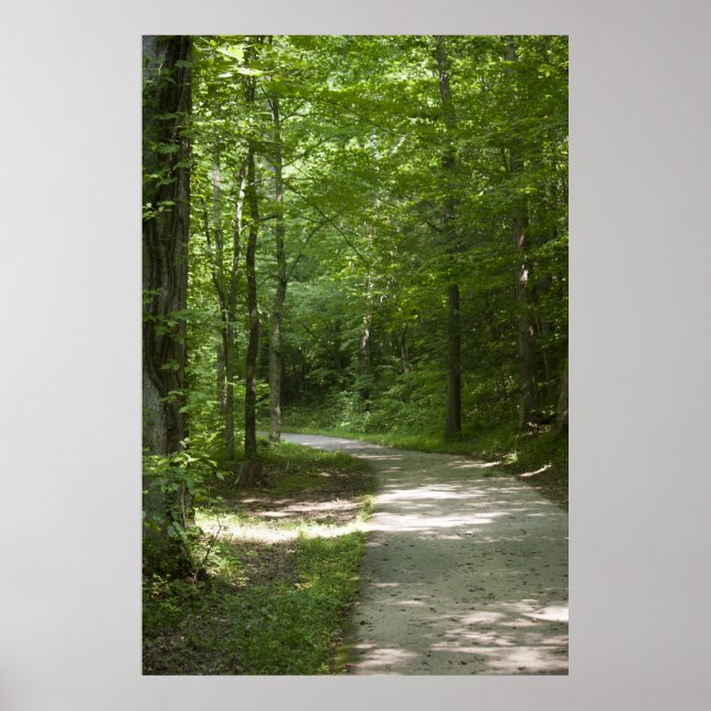 Trajetórias verdes 13 Poster (Frente)