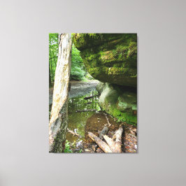 Tranquil Forest Canvas Print | Real Landscape