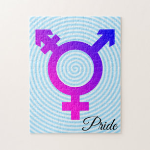 Trans* Símbolo de Quebra-cabeça azul/rosa