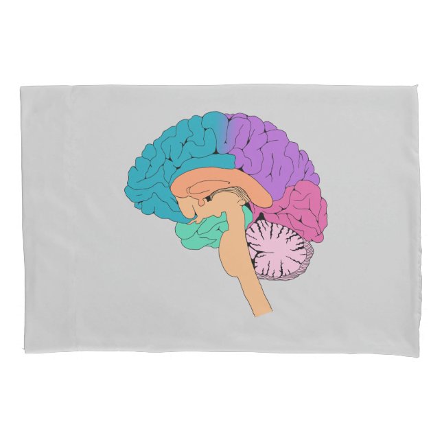Travesseira Meia Ciência Cerebral (Frente)