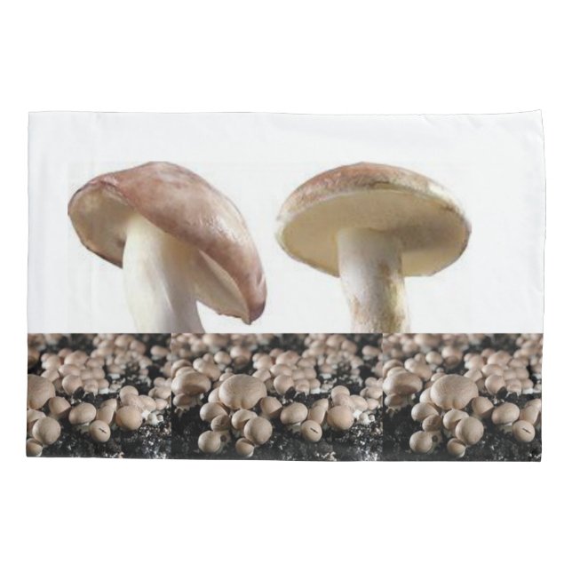 Travesseiro Case Mushroom (Verso)