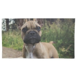 Travesseiro de French Bulldog