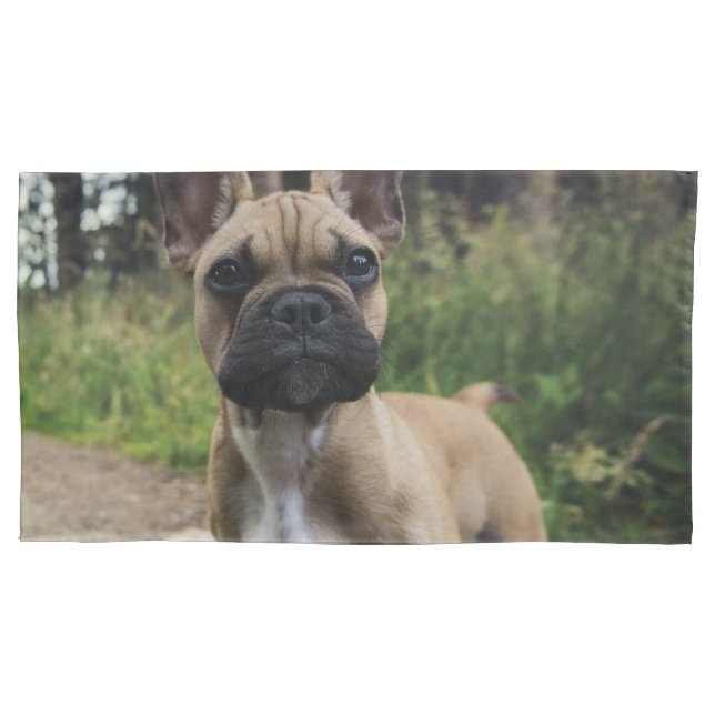 Travesseiro de French Bulldog (Frente)