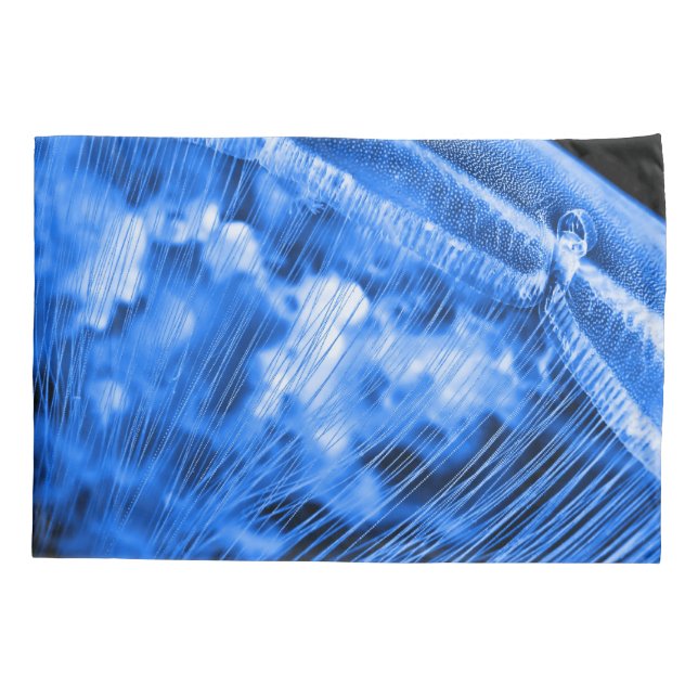 Travesseiro de Lua Azul (Verso)