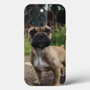 Travesseiro decorativo de Buldogue Francês