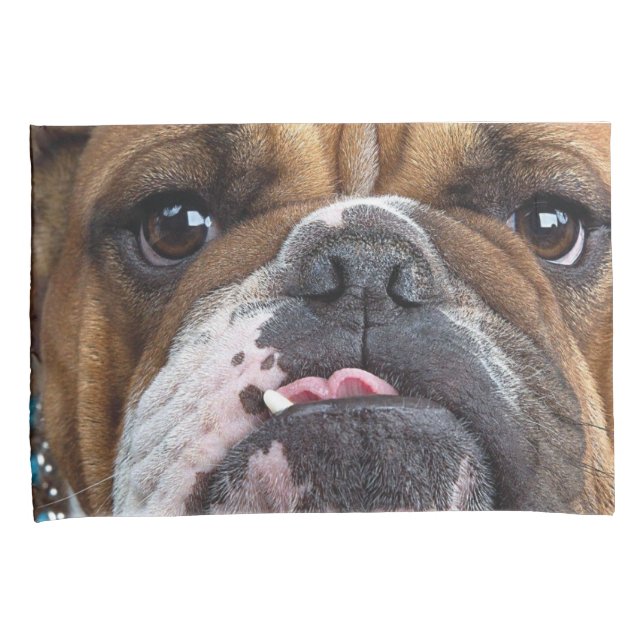 Travesseiro decorativo Inglês Bulldog (Frente-Direita)