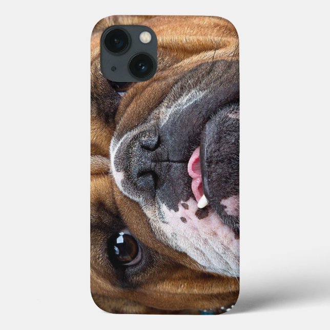 Travesseiro decorativo Inglês Bulldog (Verso)