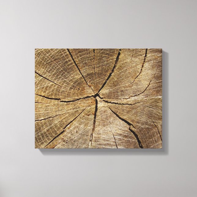 Tree Oak Cross Section Canvas Imprimir (Frente)