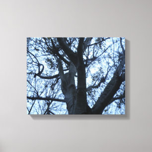 Tree Silhouket Photogarph Canvas Impressão