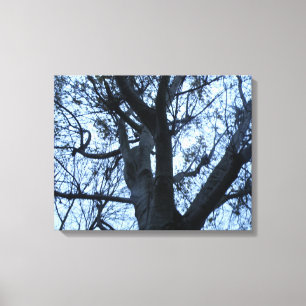 Tree Silhouket Photogarph Canvas Impressão