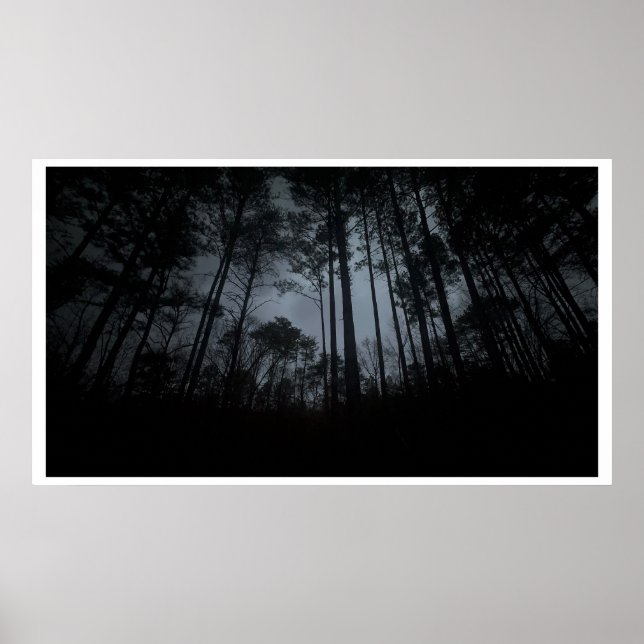 Trees & Fog,  Poster (Frente)