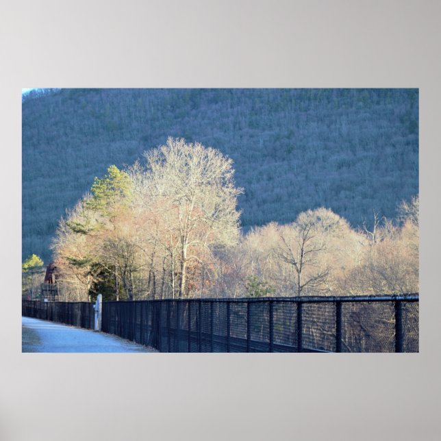 Trees Lehigh Gorge State Park Poster (Frente)