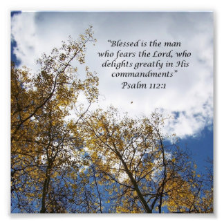 Treetops Salms 11:23 Impressão de Fotografia de Es