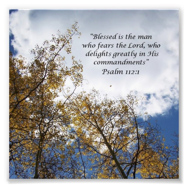 Treetops Salms 11:23 Impressão de Fotografia de Es (Frente)