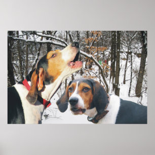 Treing Walker Coonhound Snowy Woods Poster