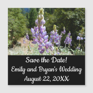 Tremoços de montanha em Yosemite