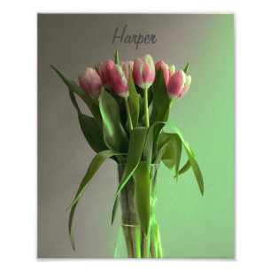 Trendy Tulips V4 Fotografia Original Da Flor Para