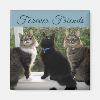 Três Amigos de Gato no Íman da Janela