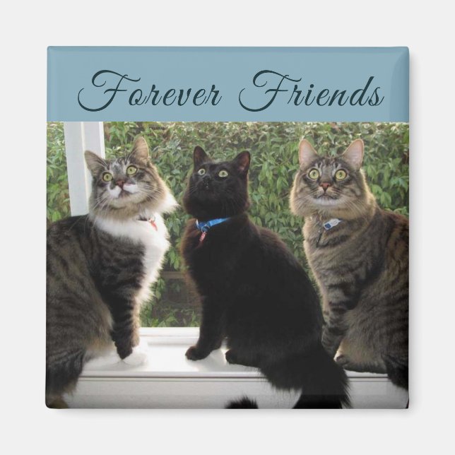 Três Amigos de Gato no Íman da Janela (Frente)
