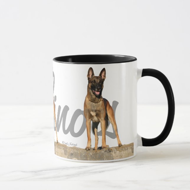 Três belga Malinois com a caneca do nome da raça (Direita)