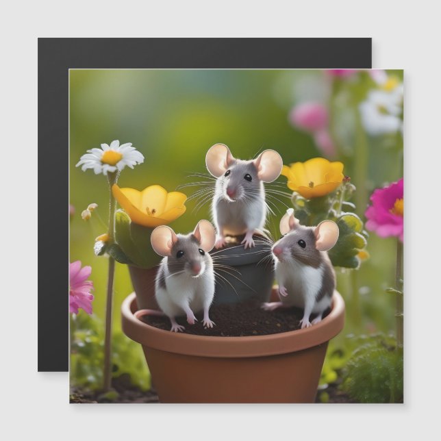 Três Camundongos Em Potes Flores, (Frente/Verso)