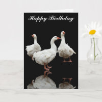 TRÊS CARTÃO DE RETORNO DE GEESE DA SEBASTOPOL