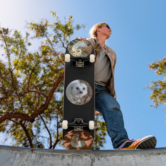 Três Fotos Meerkat, skate completo (Ao ar livre 1)