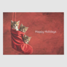 Três gatinhos numa Meia de Natal em Papel de Seda