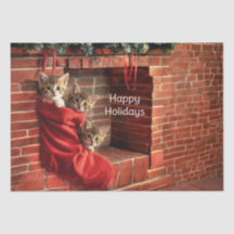 Três gatinhos numa Meia de Natal em Papel de Seda