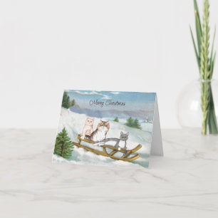 Três gatos num cartão de natal da Cena de Inverno 