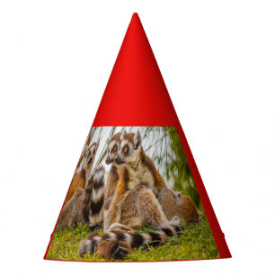 três lêmures de Chapéu de Festa