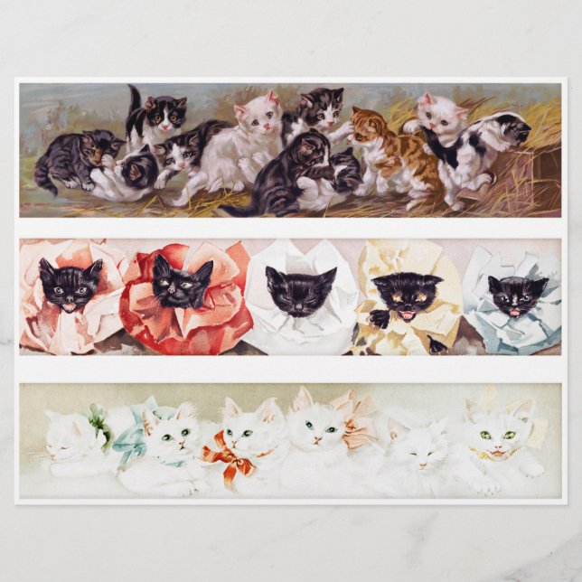 Três Linhas de Gatinhos da Era Vitoriana (Frente)