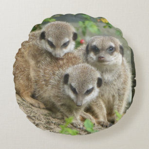 Três Meerkats Fofos Almofada Redonda