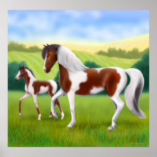 Tri cavalo da pintura e poster coloridos do potro