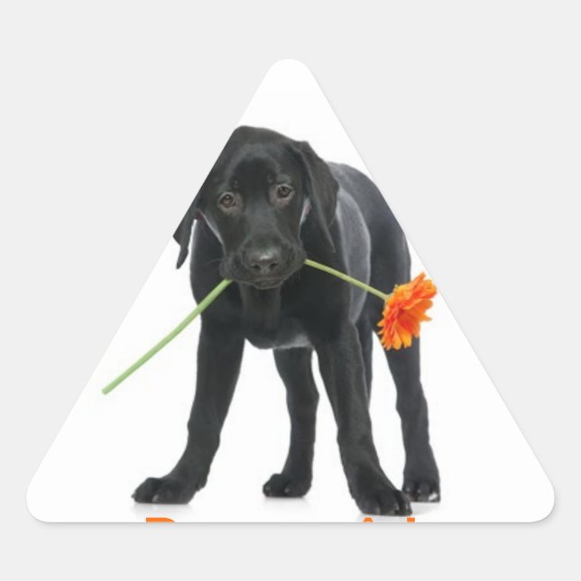 Triangular adesivo cão/flor (Frente)