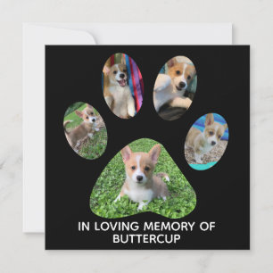 Tributação de Impressão de Pet Fotografe Personali